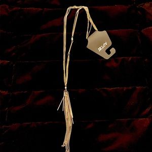 5/$25 🛍 NWT Long silver fringe pendant necklace